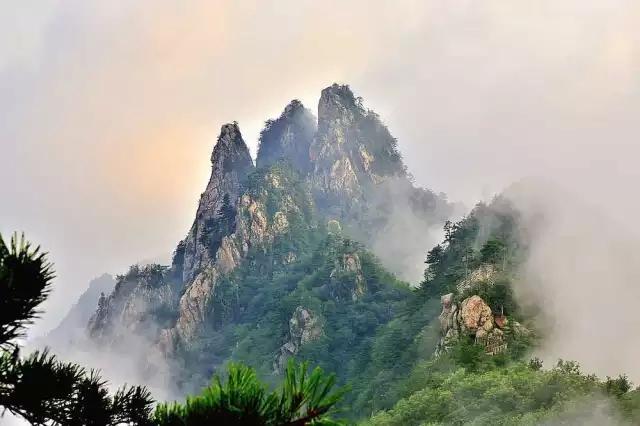 河南十大适合春季旅游的地方2025年排行榜前十名榜单出炉