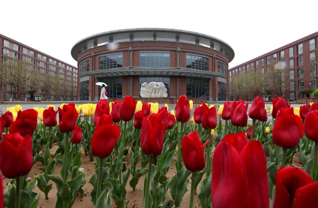 全国经济统计学专业大学2025年排行榜前十名榜单出炉 全国经济统计学专业大学2025年排行榜前十名榜单出炉