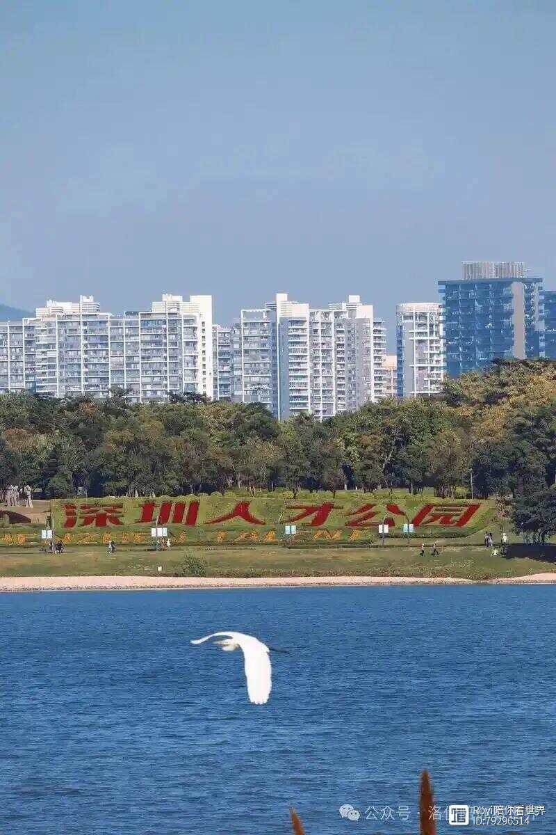 深圳最美的十大公园2025年排行榜前十名榜单出炉