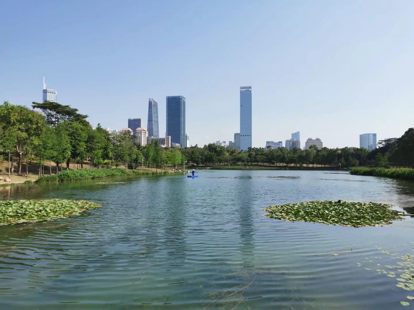 深圳最美的十大公园2025年排行榜前十名榜单出炉