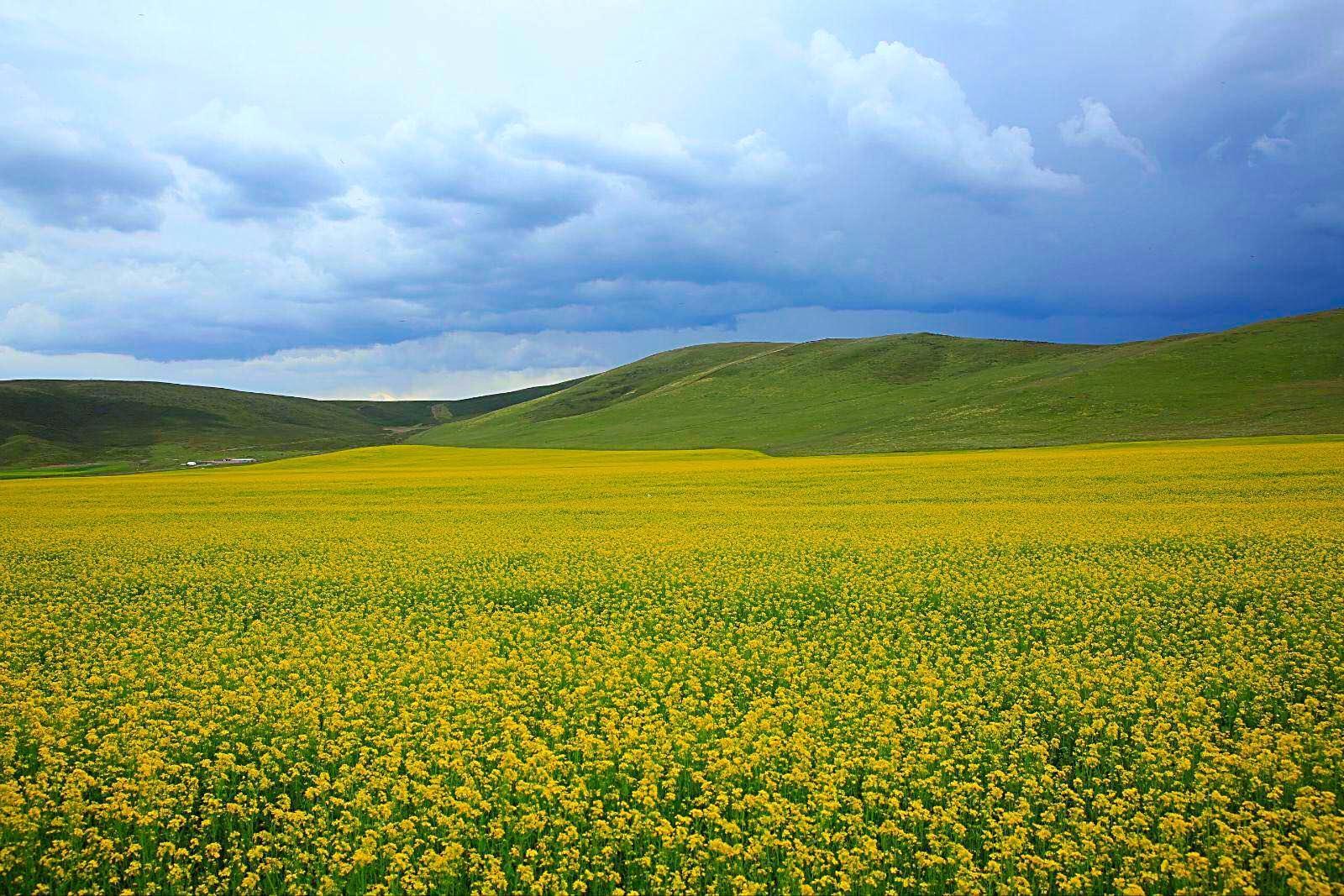 青海十大最美湖泊2025年排行榜前十名榜单出炉