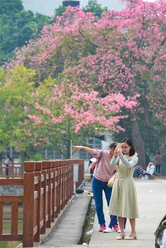 北京十大最适合看雪的地方2025年排行榜前十名榜单出炉