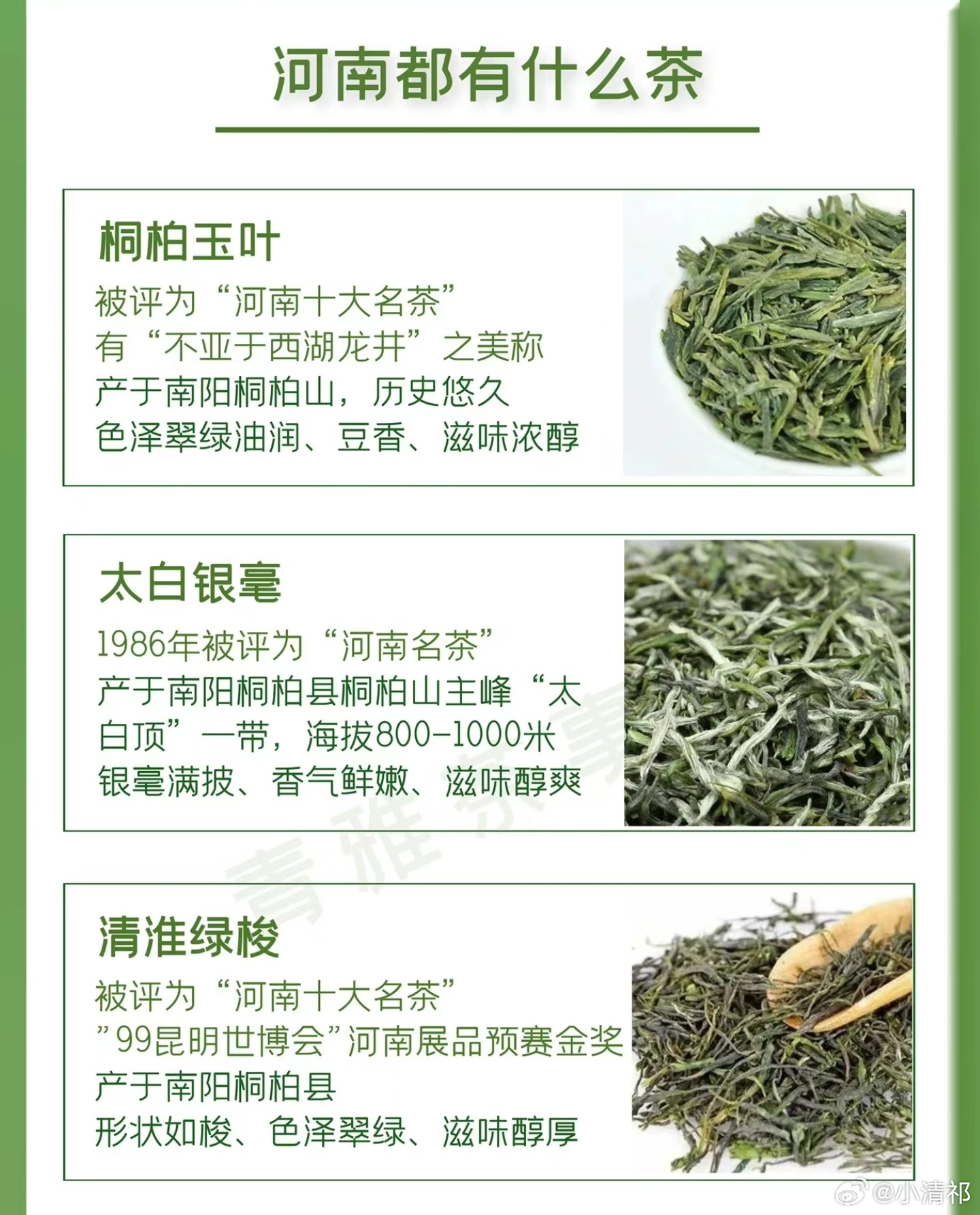 河南十大名茶2025年排行榜前十名榜单出炉