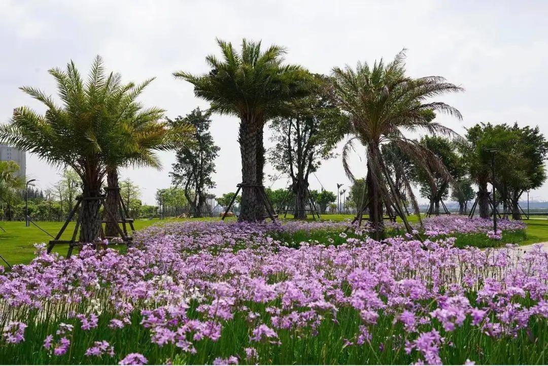 厦门十大适合露营的地方2025年排行榜前十名榜单出炉