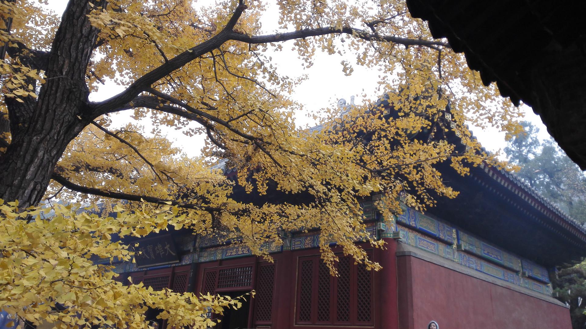 北京十大最高山峰2025年排行榜前十名榜单出炉