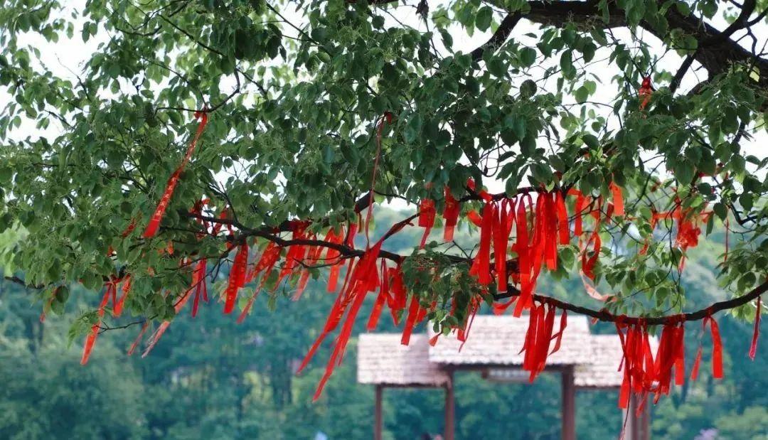 吉安十大适合野餐的好地方2025年排行榜前十名榜单出炉