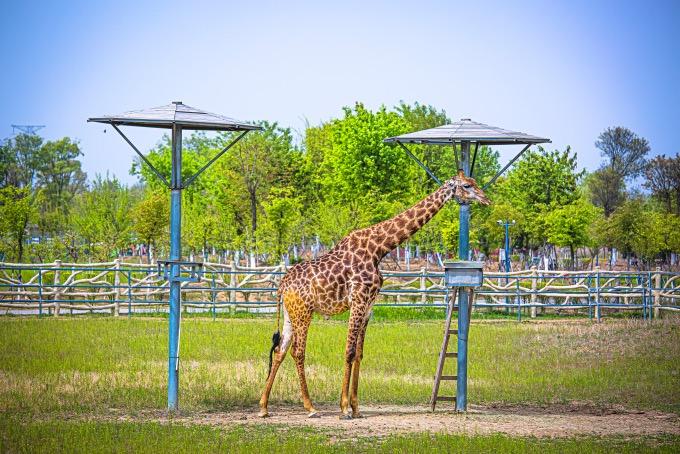 宿州十大产业园区2025年排行榜前十名榜单出炉