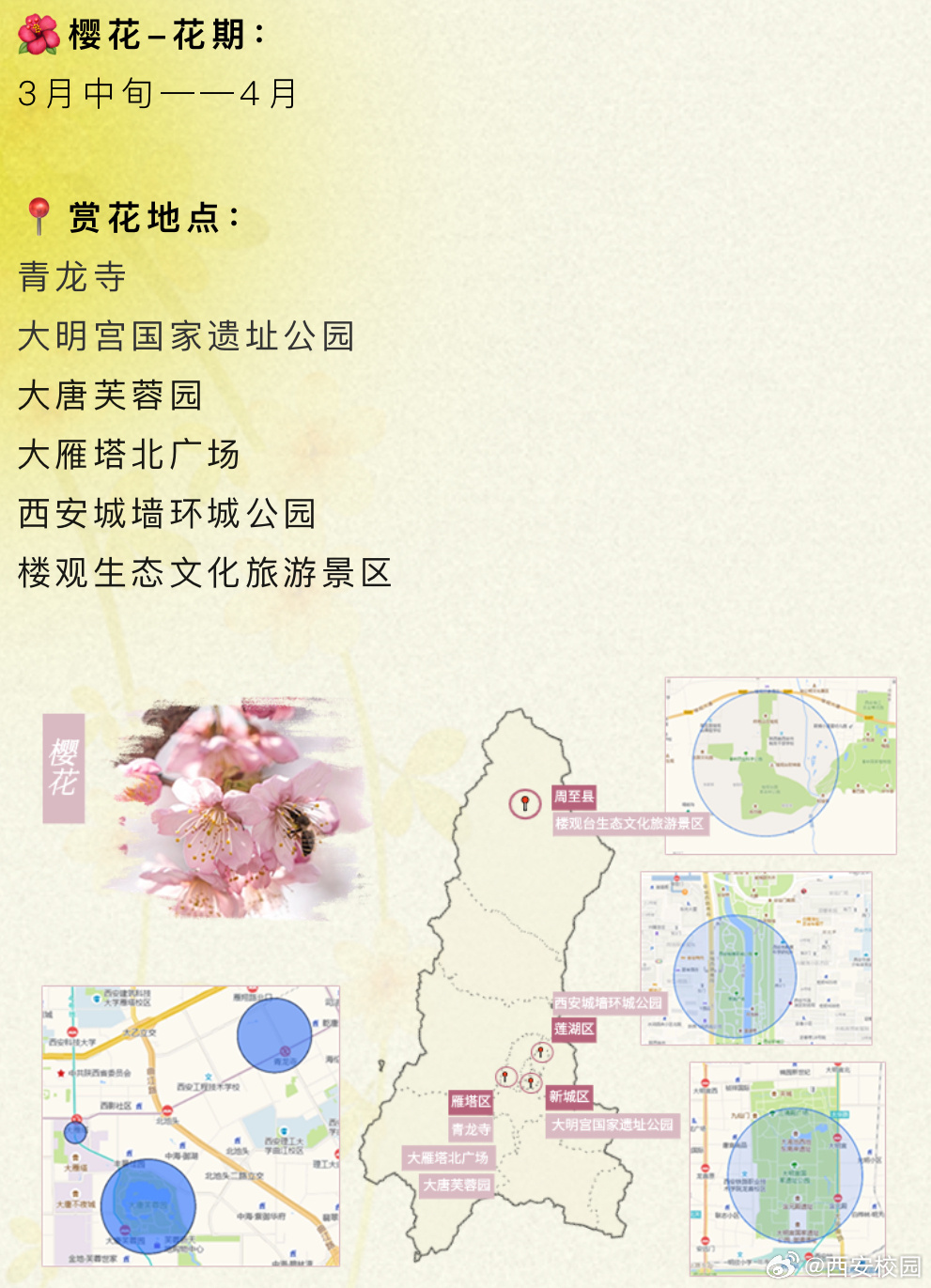 西安十大赏花胜地2025年排行榜前十名榜单出炉