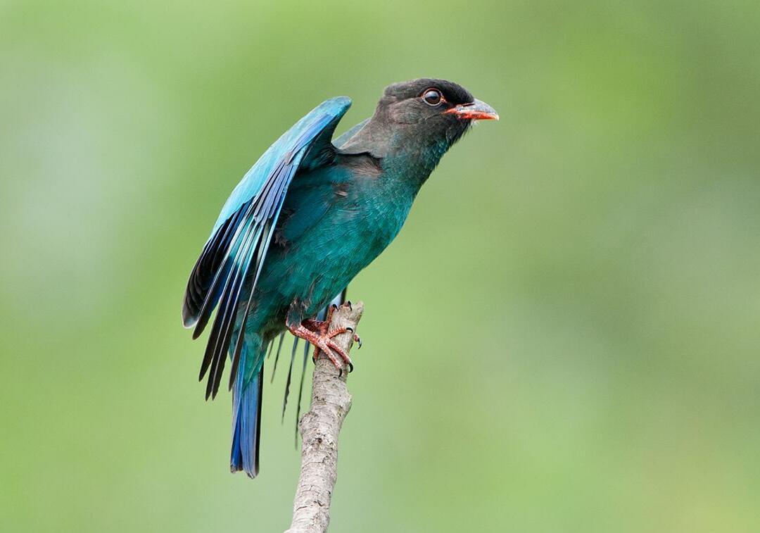 台湾十大冬季旅游好去处2025年排行榜前十名榜单出炉