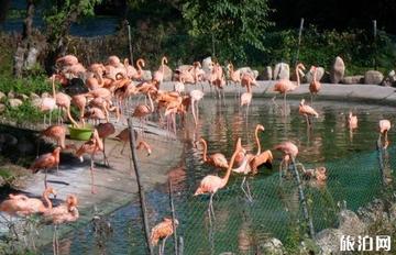 长春适合亲子游的地方2025年排行榜前十名榜单出炉