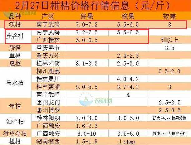 湖南十大柑橘2025年排行榜前十名榜单出炉