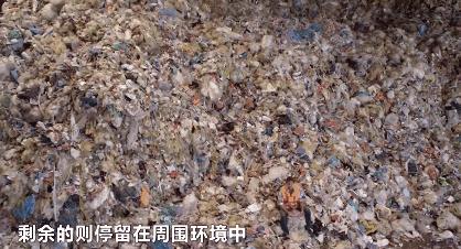 海洋十大毒物2025年排行榜前十名榜单出炉