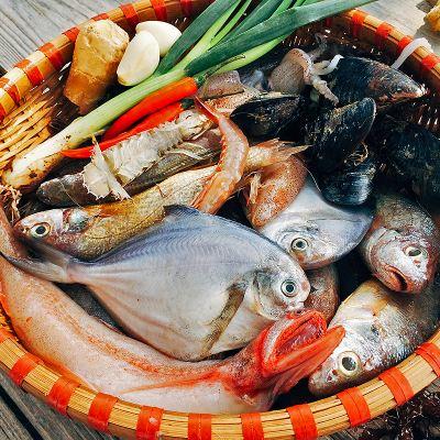 海洋十大毒物2025年排行榜前十名榜单出炉