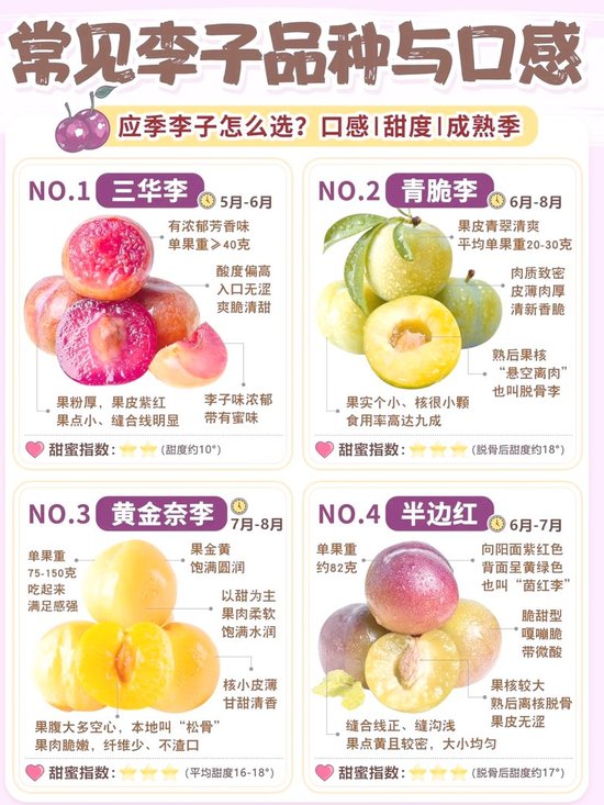 全国十大李子产地2025年排行榜前十名榜单出炉