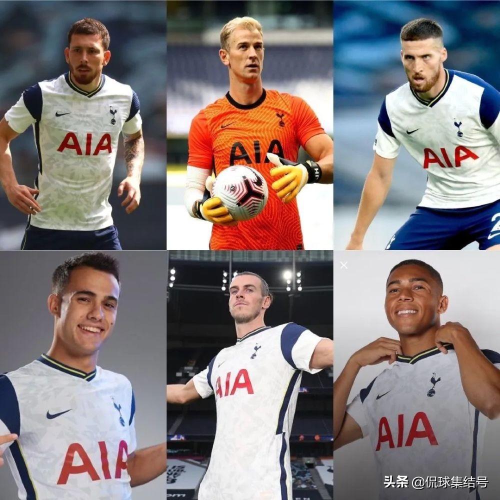 世界十大最受欢迎的宠物鸟2025年排行榜前十名榜单出炉