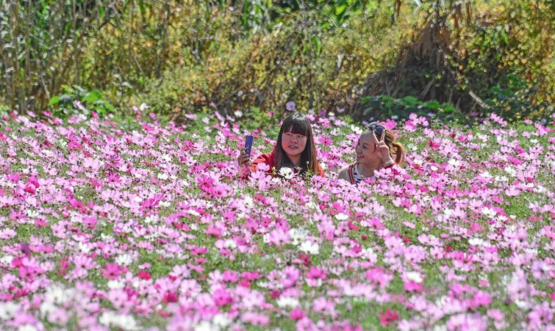 无锡十大适合露营的地方2025年排行榜前十名榜单出炉