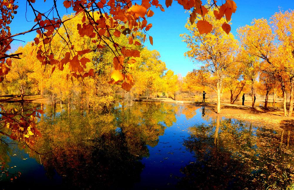 江苏十大赏叶好去处2025年排行榜前十名榜单出炉