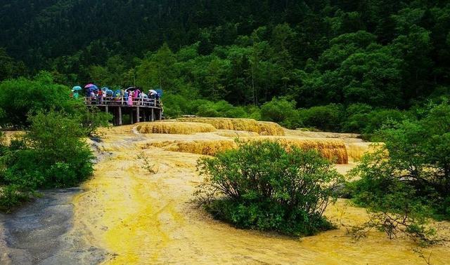 黄龙景区十大特产2025年排行榜前十名榜单出炉 黄龙景区十大特产2025年排行榜前十名榜单出炉