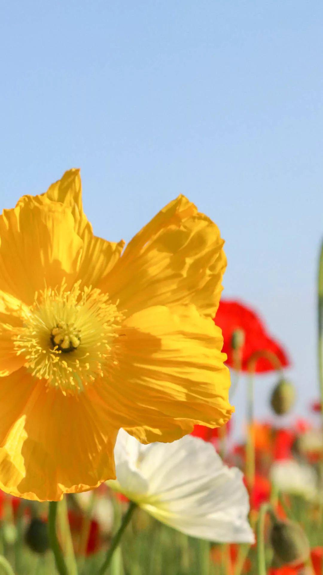 泉州十大适合春季旅游的地方2025年排行榜前十名榜单出炉