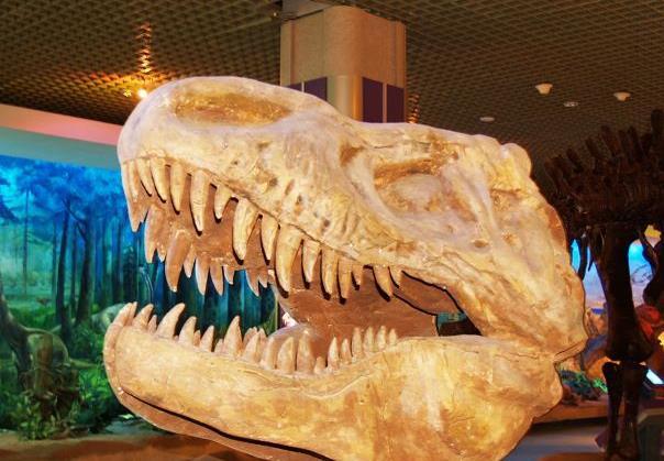 大连十大免费景点2025年排行榜前十名榜单出炉 大连十大免费景点2025年排行榜前十名榜单出炉