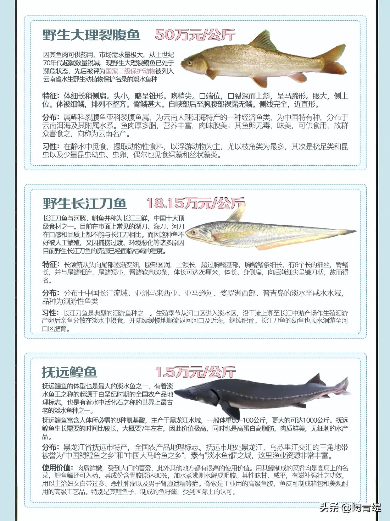 世界十大鱼类之最2025年排行榜前十名榜单出炉