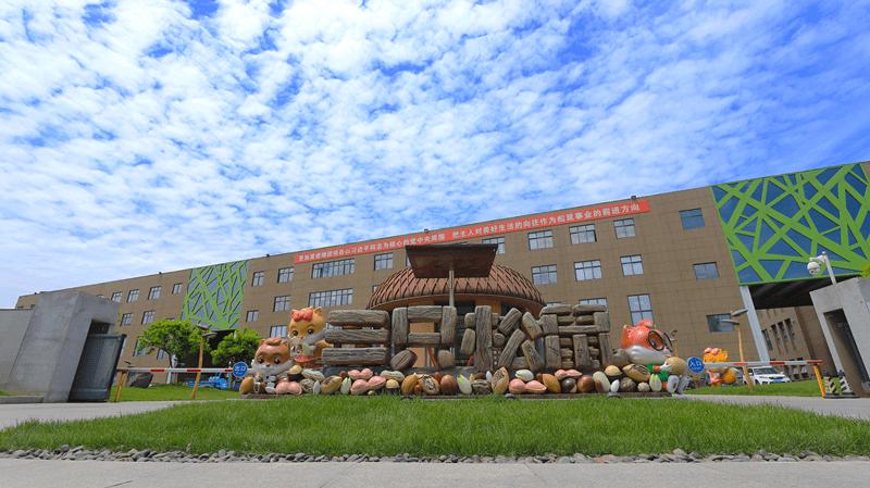 十大人气健康零食2025年排行榜前十名榜单出炉