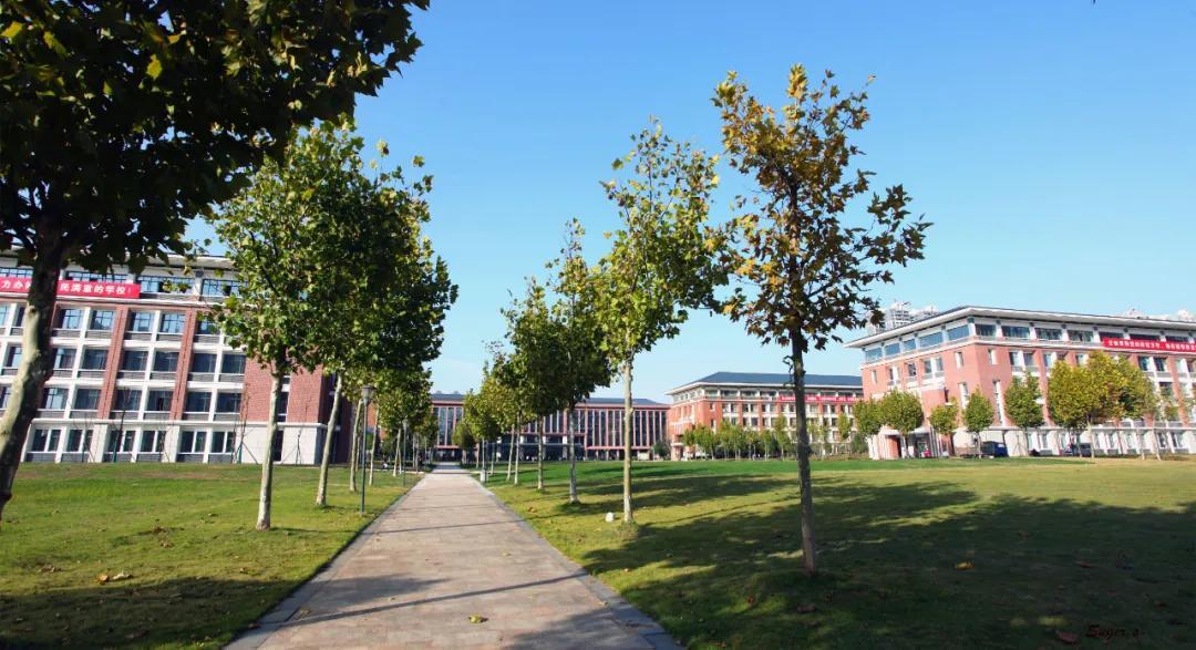 最让人讨厌的动漫女角色2025年排行榜前十名榜单出炉