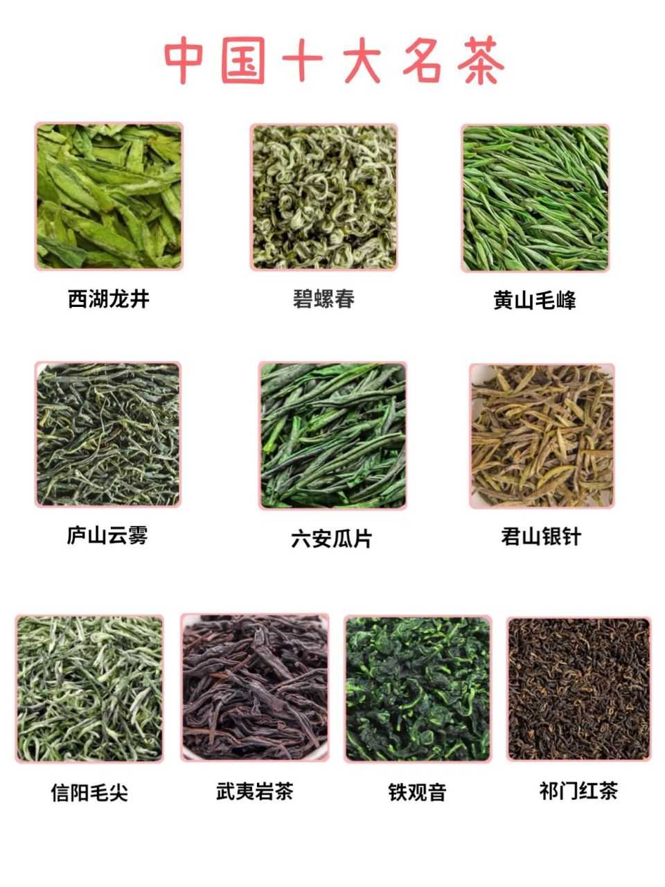 毛尖十大种类2025年排行榜前十名榜单出炉