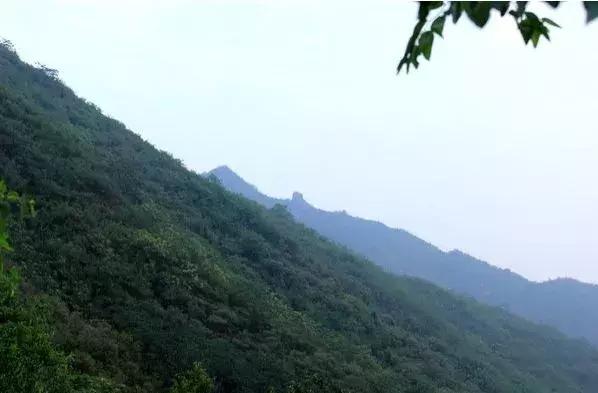 石家庄十大免费景点2025年排行榜前十名榜单出炉