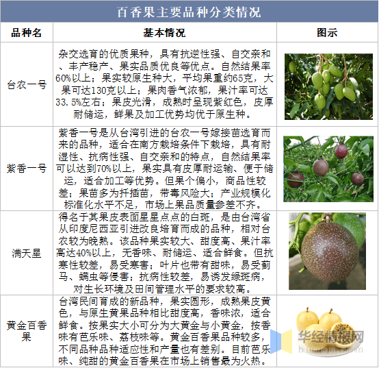 全国十大百香果产地2025年排行榜前十名榜单出炉