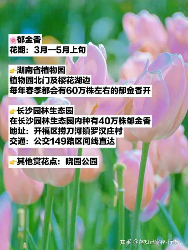 长沙十大赏花胜地2025年排行榜前十名榜单出炉