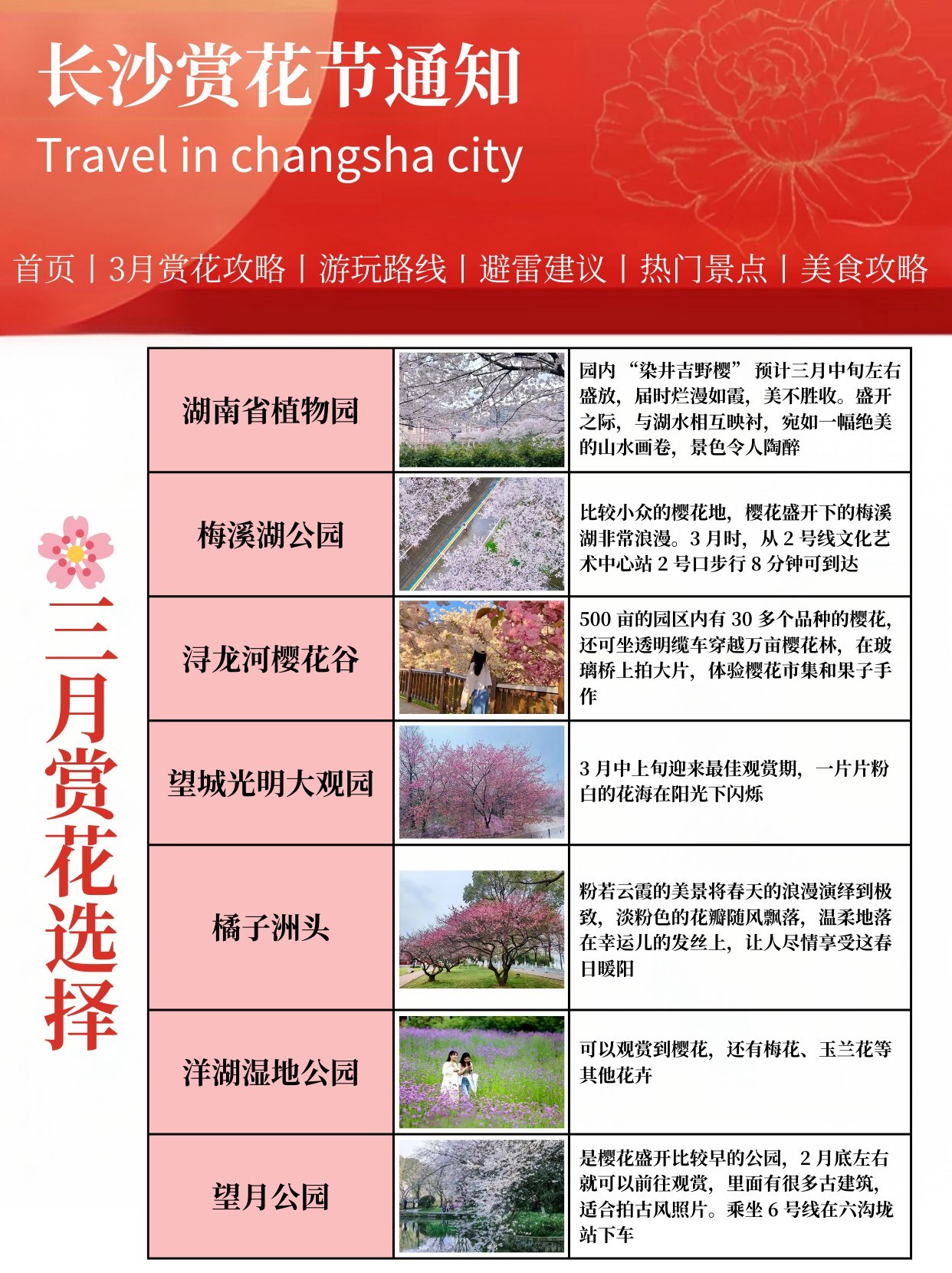 长沙十大赏花胜地2025年排行榜前十名榜单出炉