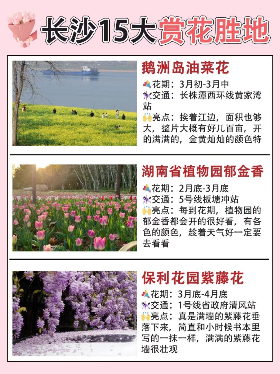 长沙十大赏花胜地2025年排行榜前十名榜单出炉