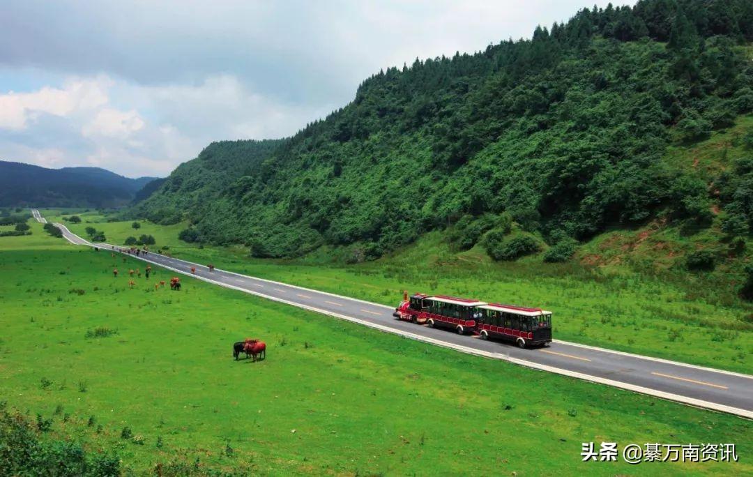 中国十大国家森林公园2025年排行榜前十名榜单出炉