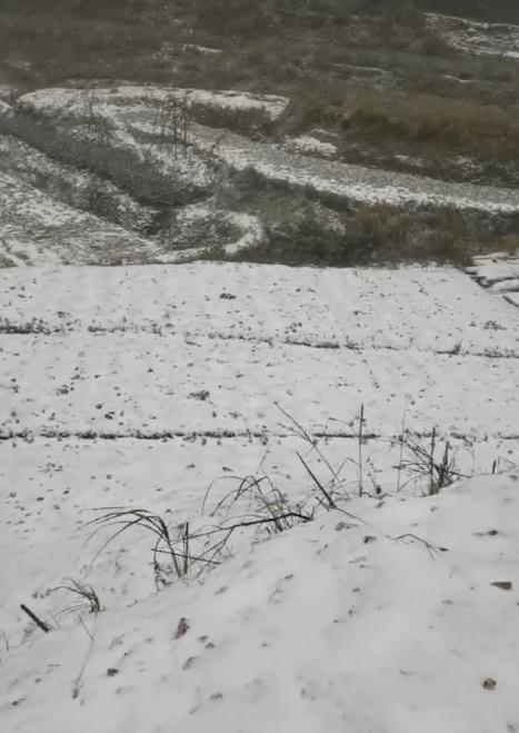 长沙十大最适合看雪的地方2025年排行榜前十名榜单出炉