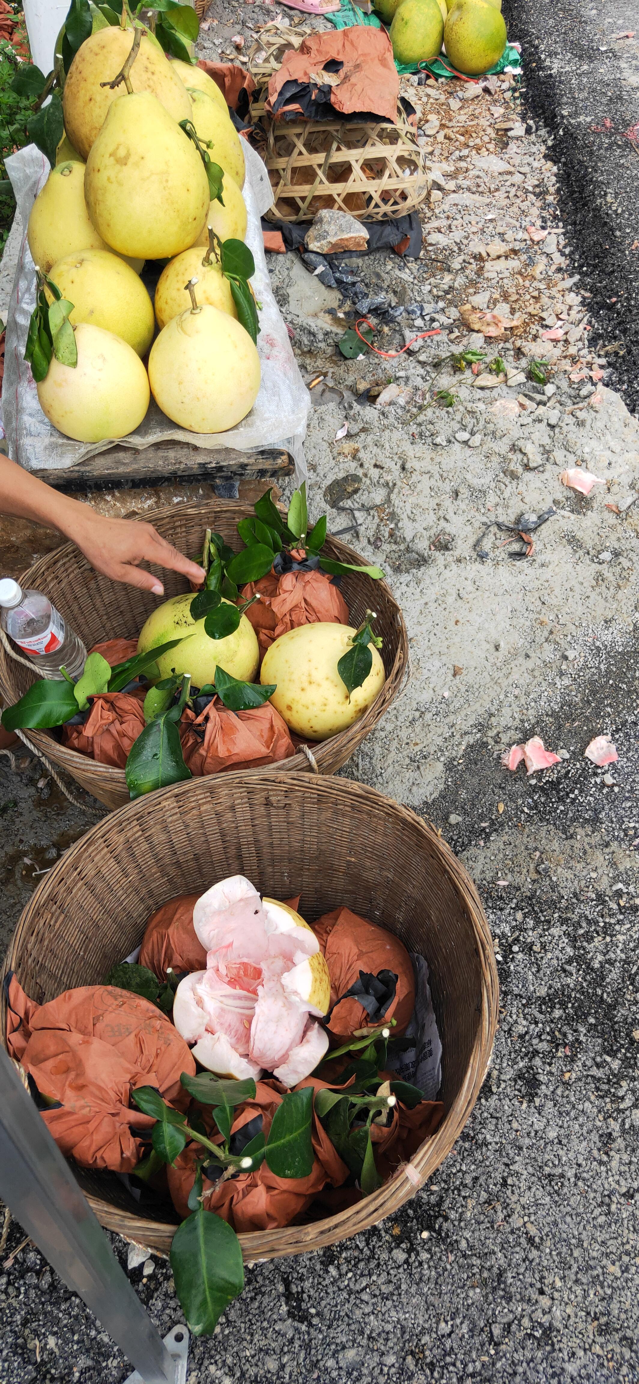 中国柚子十大品种2025年排行榜前十名榜单出炉