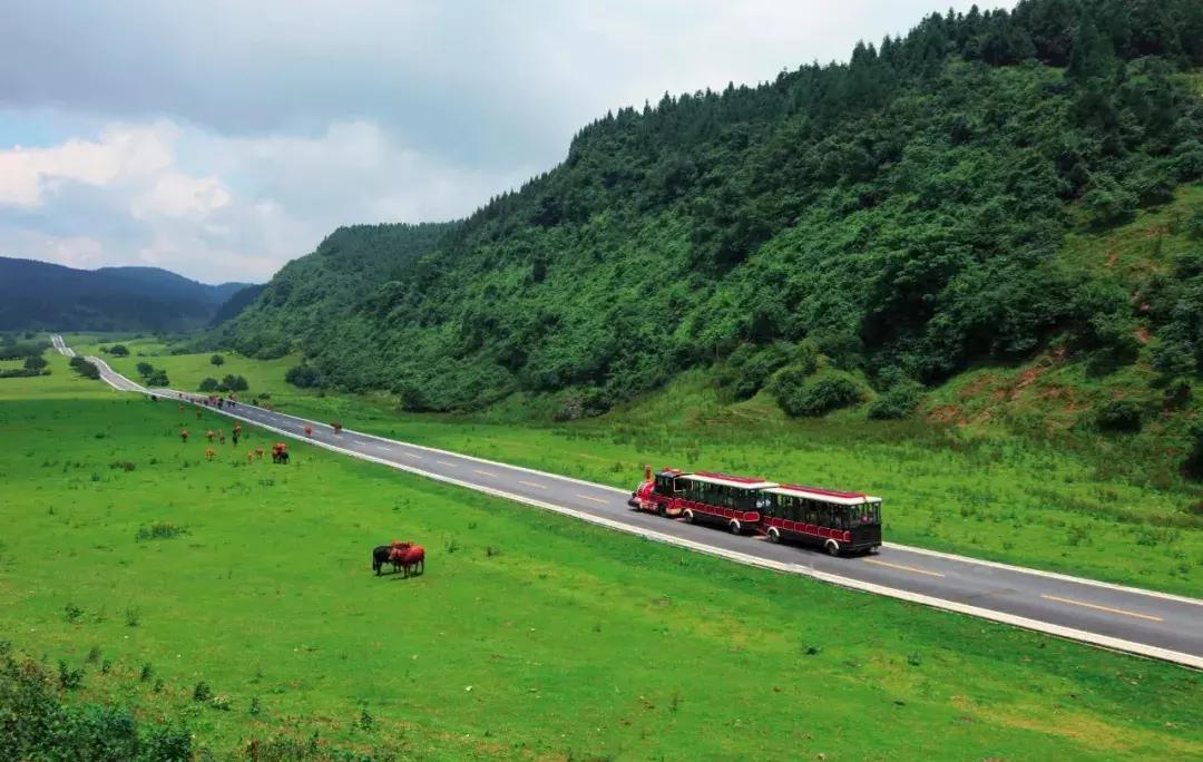 中国十大高山2025年排行榜前十名榜单出炉