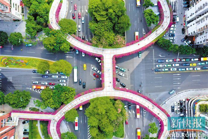 广州十大现代桥梁2025年排行榜前十名榜单出炉