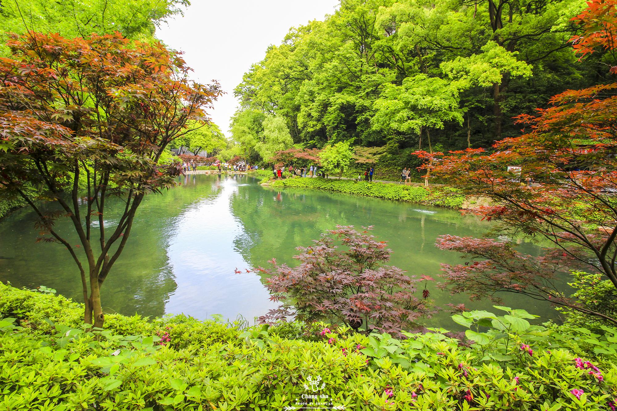 长沙十大赏红叶好地方2025年排行榜前十名榜单出炉