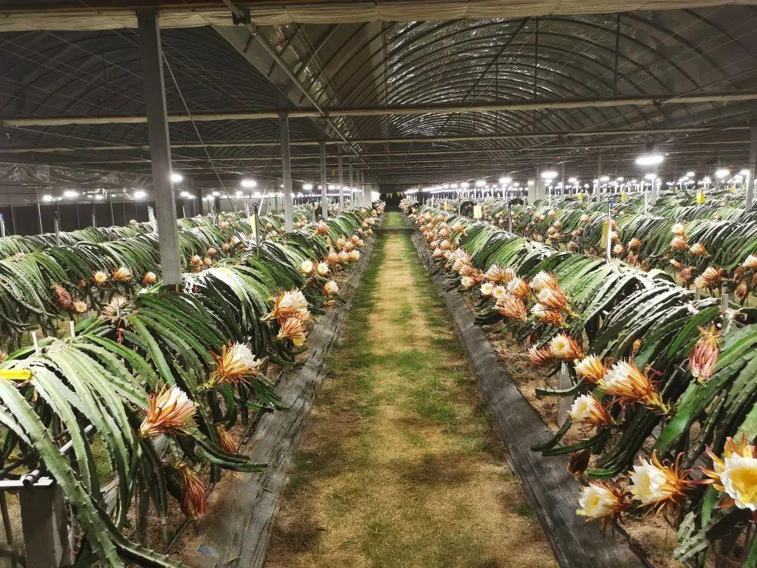 中国十大古代有钱人庄园2025年排行榜前十名榜单出炉