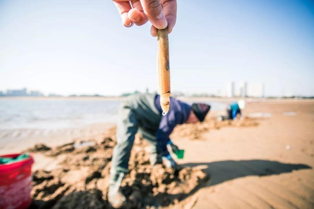 威海十大最适合赶海的地方2025年排行榜前十名榜单出炉