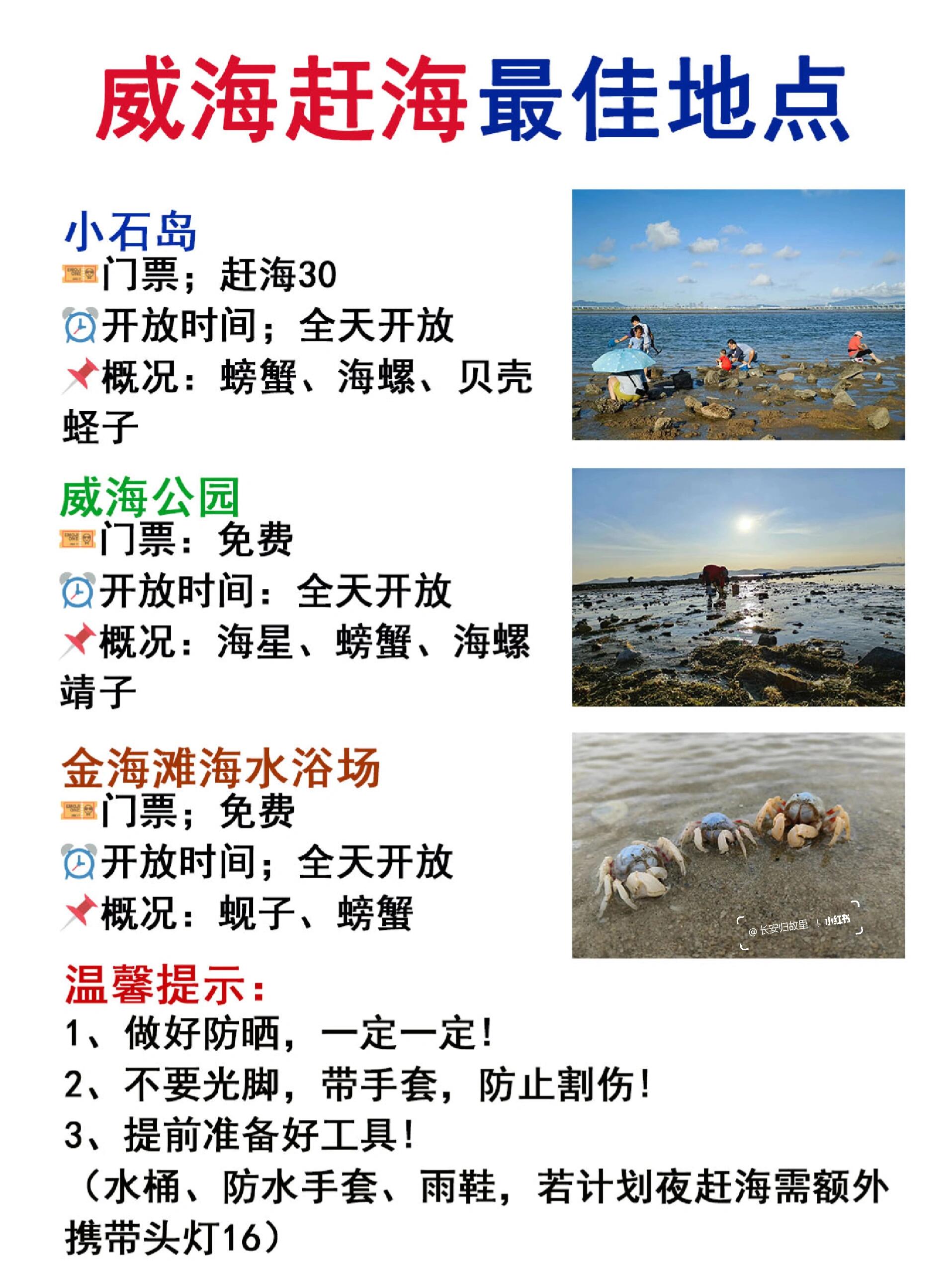 威海十大最适合赶海的地方2025年排行榜前十名榜单出炉