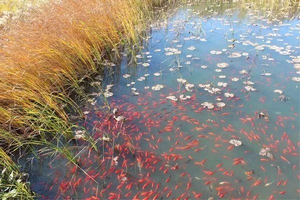 北京十大免费景点2025年排行榜前十名榜单出炉