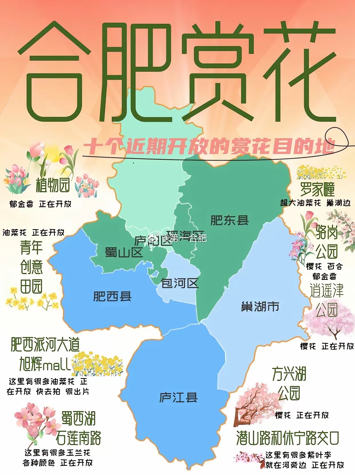 合肥十大赏花胜地2025年排行榜前十名榜单出炉