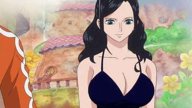 海贼王十大美女2025年排行榜前十名榜单出炉