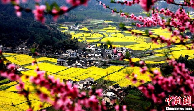 安徽十大赏花胜地2025年排行榜前十名榜单出炉