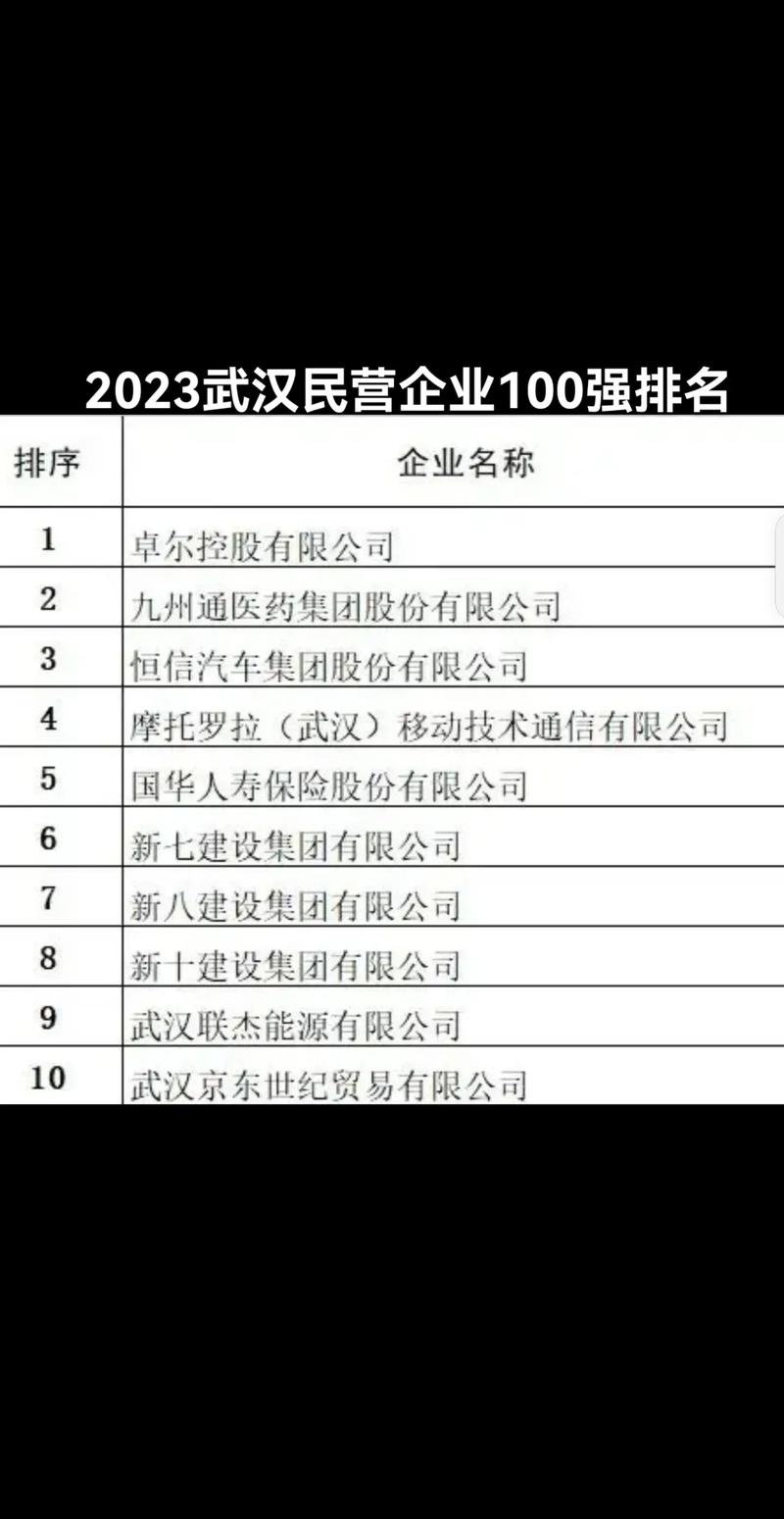 武汉十大知名企业家2025年排行榜前十名榜单出炉