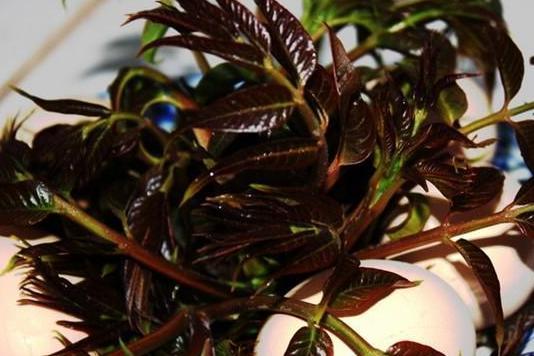 济南市十大特产2025年排行榜前十名榜单出炉