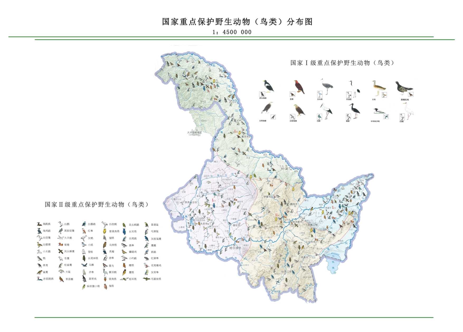黑龙江十大观鸟地2025年排行榜前十名榜单出炉