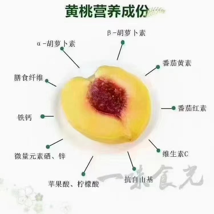 全国十大黄桃产地2025年排行榜前十名榜单出炉